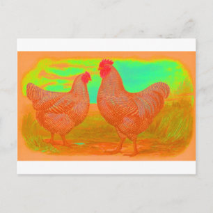 Cartão Postal Apocalipse