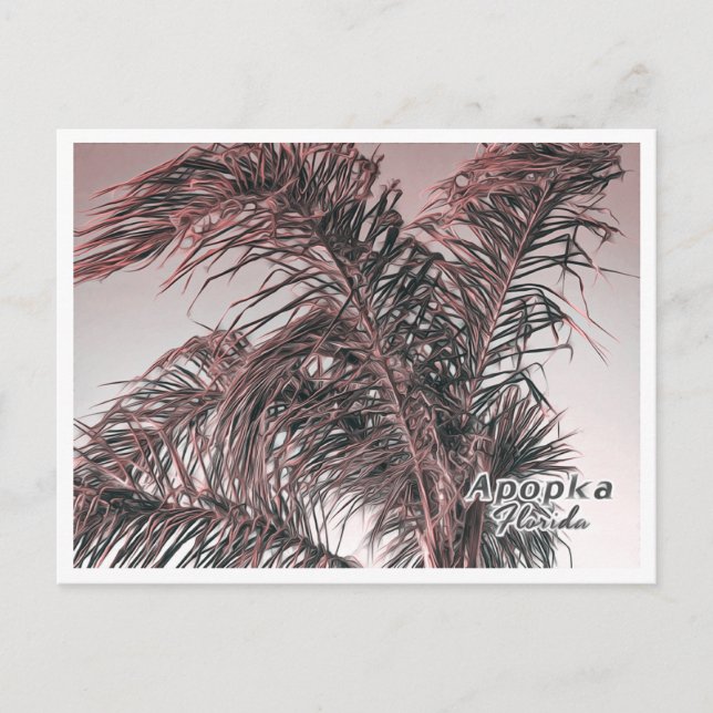 CARTÃO POSTAL APOPKA FLORIDA (Frente)
