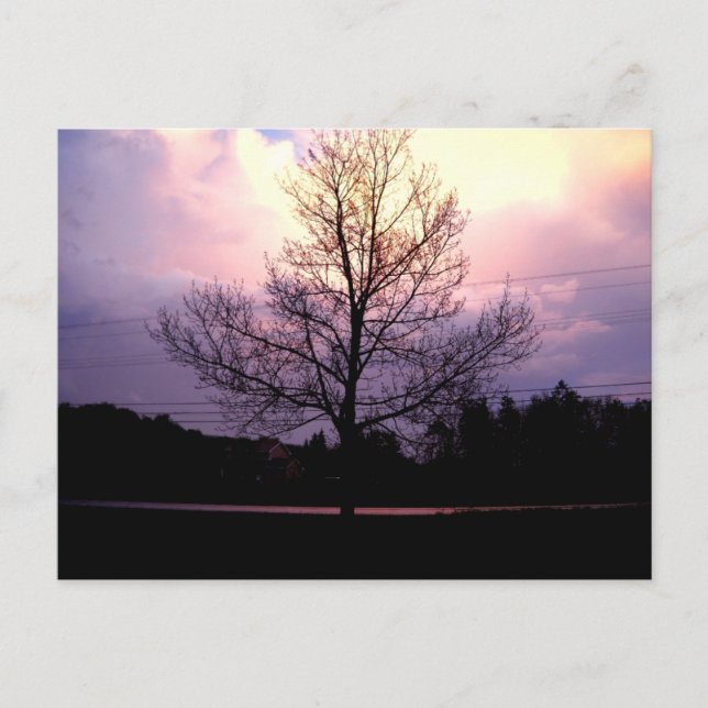 Cartão Postal Após A Chuva (Frente)