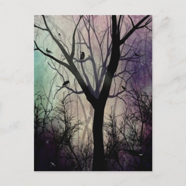 Cartão Postal Após a Twilight (Frente)