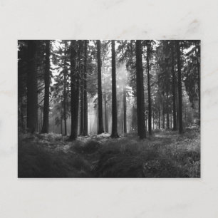 Cartão Postal Após o Cartão-Postal de Chuva