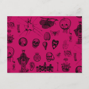 Cartão Postal Apothecary