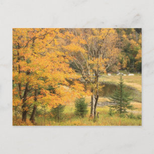 Cartão Postal Appalachian Gap Pond Vermont