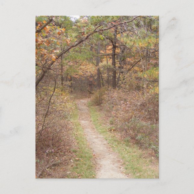 Cartão Postal appalachian trail fall pennania (Frente)
