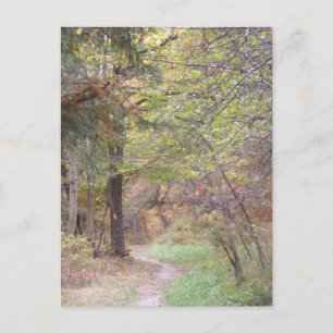 Cartão Postal appalachian trail fall pennsylvania