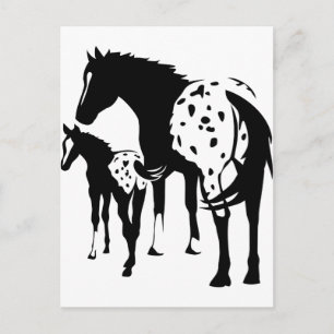 Cartão Postal Appaloosa Mare e Foal
