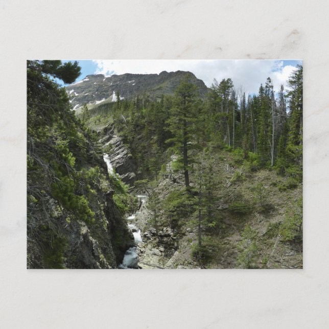 Cartão Postal Appistoki Falls e Pico no Parque Nacional de Glaci (Frente)