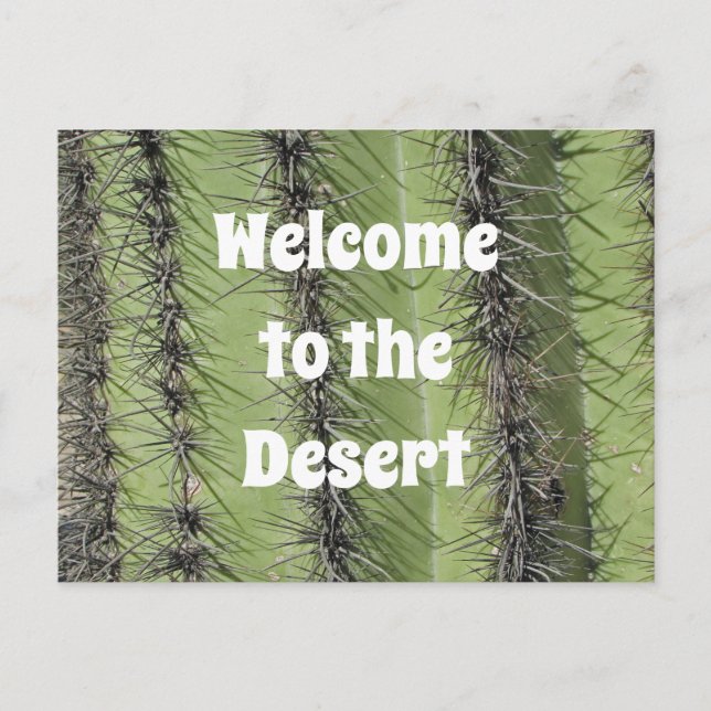 Cartão Postal Apreciação da Foto do Deserto do Cacto Saguaro em  (Frente)
