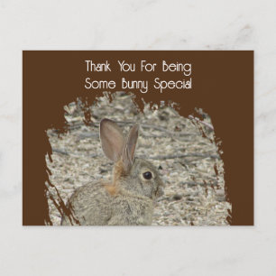 Cartão Postal Apreciação Funny Tan Bunny Pun
