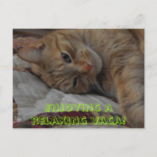 Cartão Postal Apreciando uma vaca relaxante!