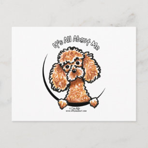 Cartão Postal Apricot Toy Miniature Poodle IAAM