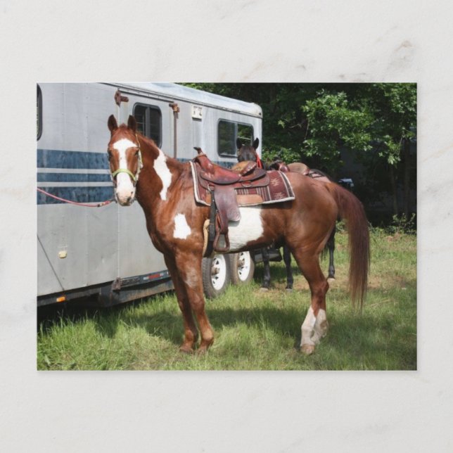 Cartão Postal "Apronte para o passeio " (Frente)