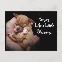 Cartão Postal Aproveite as pequenas bençãos da vida