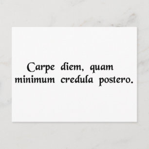 Cartão Postal Aproveite o dia, confie o mínimo possível......