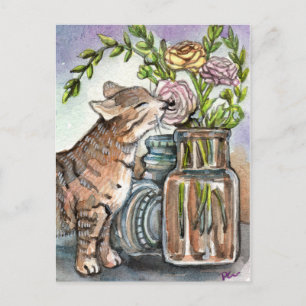 Cartão Postal Aproveite seu momento