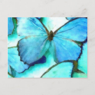 Cartão Postal Aqua Butterflies