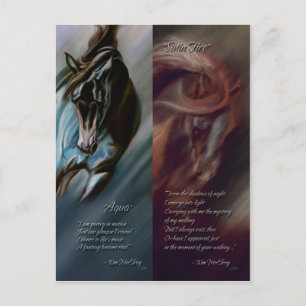Cartão Postal Aqua & Satin Fire Bookmarks de Kim McElroy