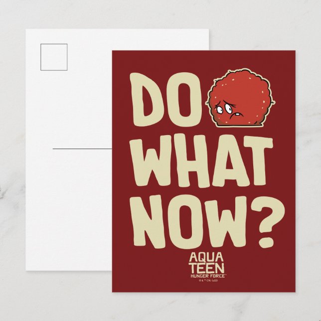 Cartão Postal Aqua Teen Hunger Force Meatwad "Do What Now?" (Frente/Verso)
