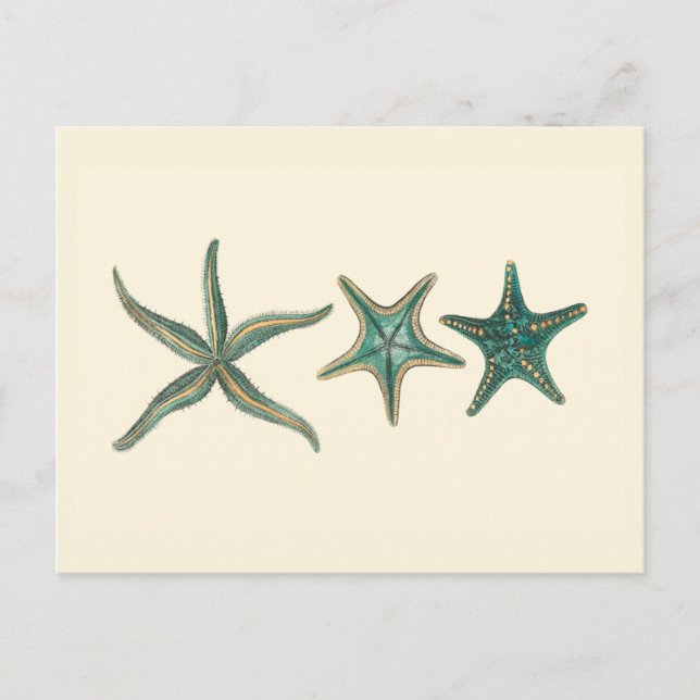 Cartão Postal Aquamarine Triple Starfish (Frente)