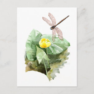 Cartão Postal aquarela aquosa