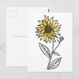 Cartão Postal Aquarela botânica estética arte linha girassol