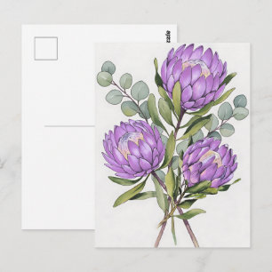 Cartão Postal Aquarela Botânica Protea Lavanda