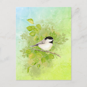 Cartão Postal Aquarela Chickadee Bird Natureza