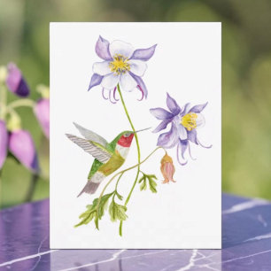 Cartão Postal Aquarela Columbine com Beija-flor