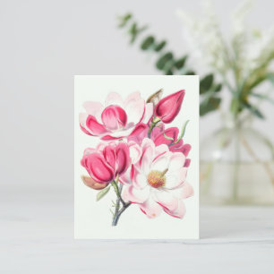 Cartão Postal Aquarela Cor Botânica Flores Magnólia
