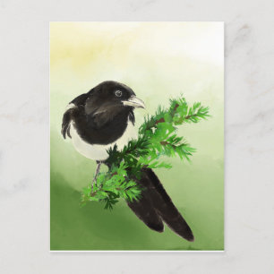Cartão Postal Aquarela Curiosa Magpie Garden Bird Wildife Art