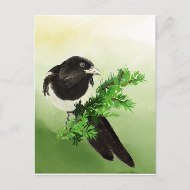Cartão Postal Aquarela Curiosa Magpie Garden Bird Wildife Art (Frente)