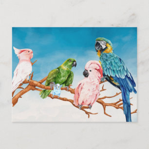 Cartão Postal Aquarela de Pássaros Papagaio Arara Cacatua Periqu