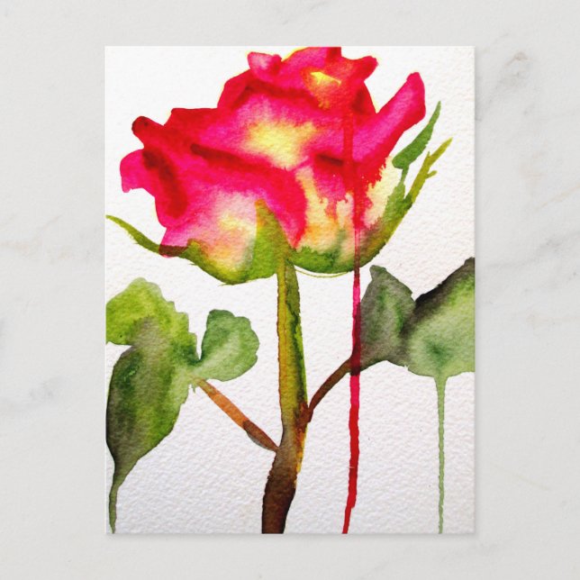 Cartão Postal Aquarela de Rosa de Chá Híbrida arte floral modern (Frente)