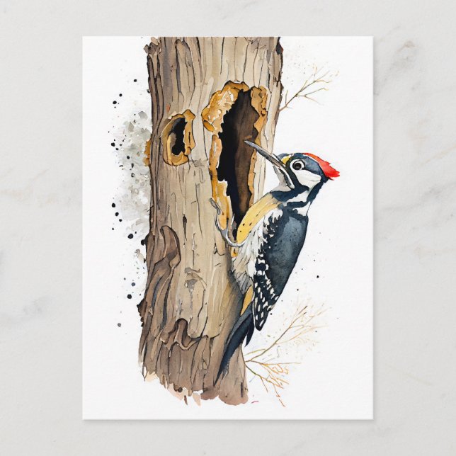 Cartão Postal Aquarela Eurasian Treecreeper Searing for Inse (Frente)