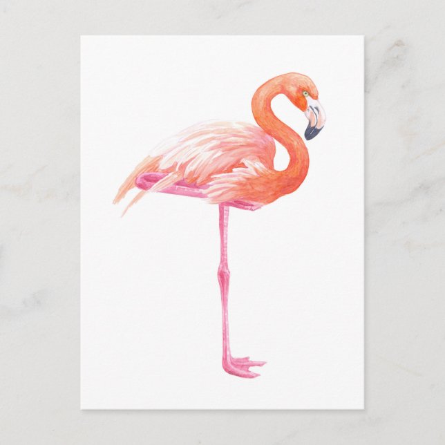 Cartão Postal Aquarela Flamingo (Frente)