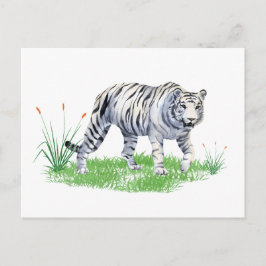 Cartão Postal Aquarela Linda Tigre Branca