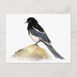 Cartão Postal Aquarela Magpie Garden Natureza