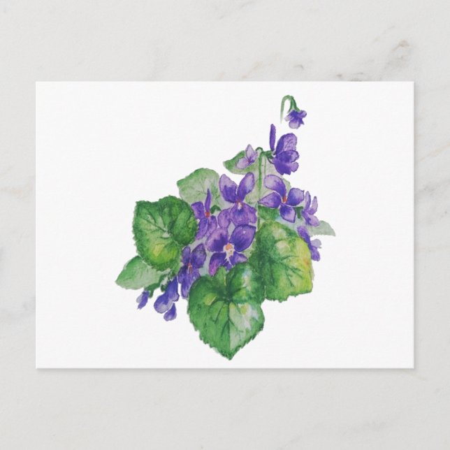 Cartão Postal Aquarela Púrpura Flor Violeta Arte Floral (Frente)