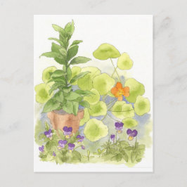 Cartão Postal Aquarelas do Jardim Herbário Nasturium