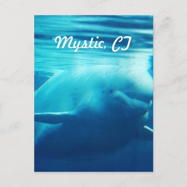 Cartão Postal Aquário (Frente)