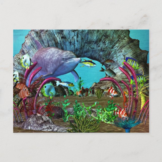 Cartão Postal Aquário 3D de Descoberta de Golfinhos (Frente)