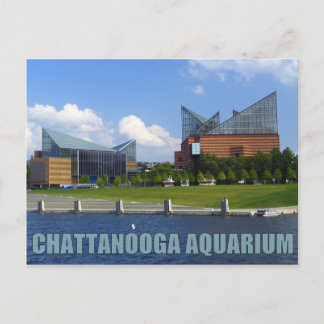 Cartão Postal Aquário de Chattanooga