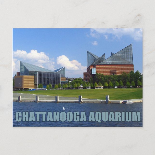 Cartão Postal Aquário de Chattanooga (Frente)
