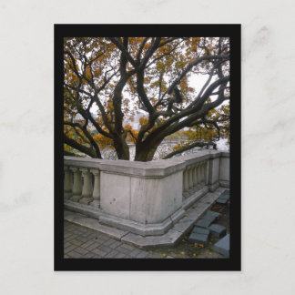 Cartão Postal Aquário de lamas: outono