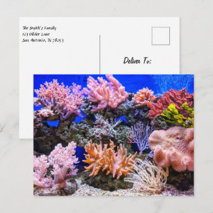 Cartão Postal Aquário de Saltwater - Recife de Coral