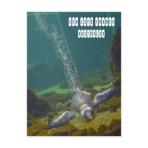 Aquário de Sydney Sea Life na Austrália