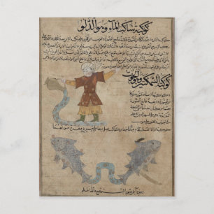 Cartão Postal Aquário e Peixes