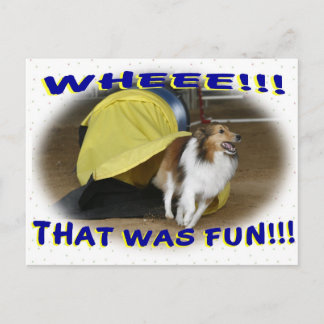 Cartão Postal Aquele era divertimento