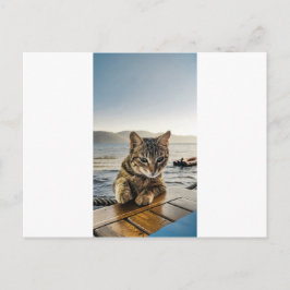 Cartão Postal "Aqui estou" diz o Gato