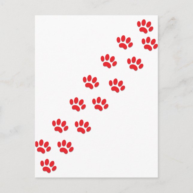 Cartão Postal Aqui, garotinha. (Frente)